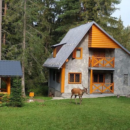 Chata Tatry Tatranska Strba Exterior foto